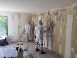 Trusted Humble, TX Mold Removal Services Experts